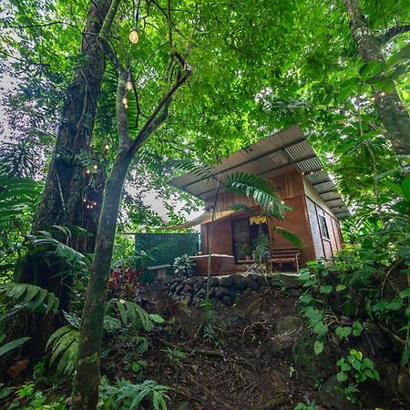 The Frog House Appartement La Fortuna Buitenkant foto