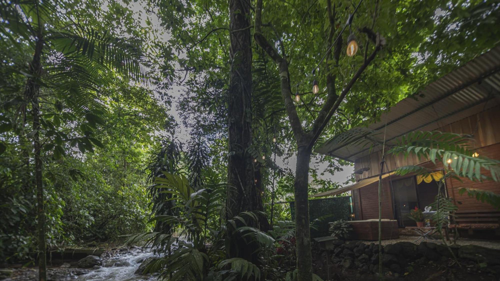 The Frog House Appartement La Fortuna Buitenkant foto