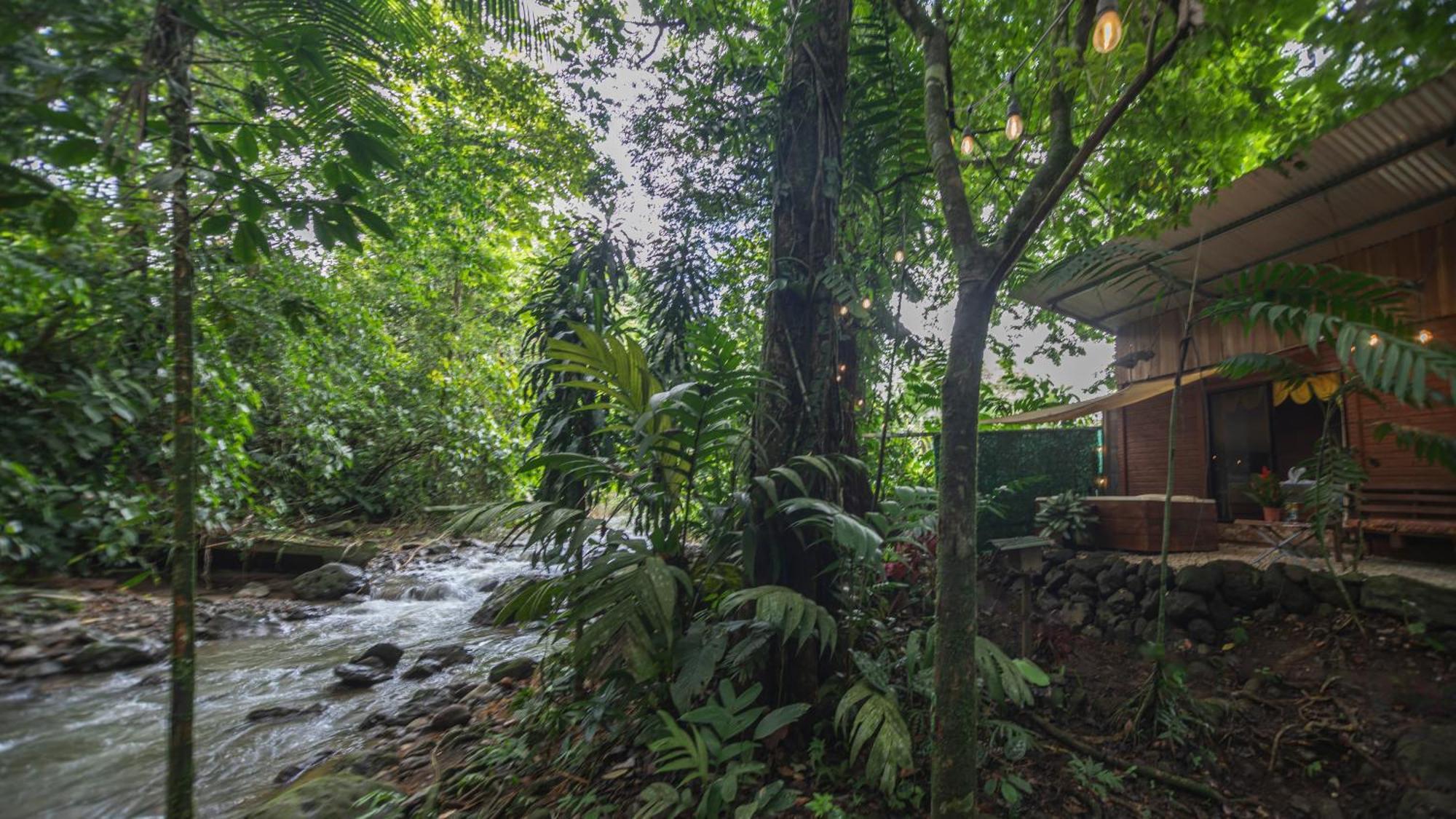 The Frog House Appartement La Fortuna Buitenkant foto