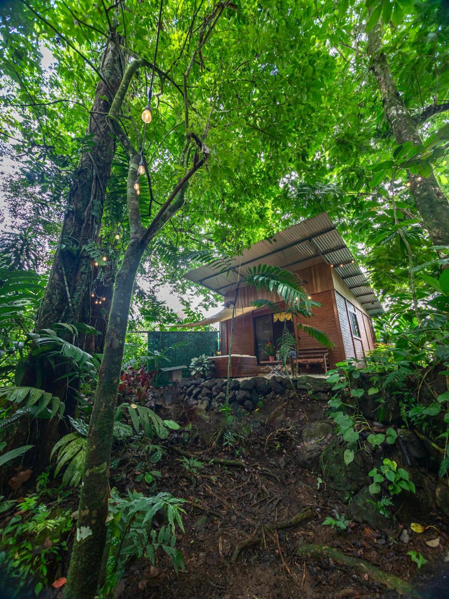 The Frog House Appartement La Fortuna Buitenkant foto